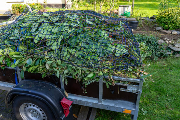 Best Property Management Cleanouts  in Ypsilanti, MI